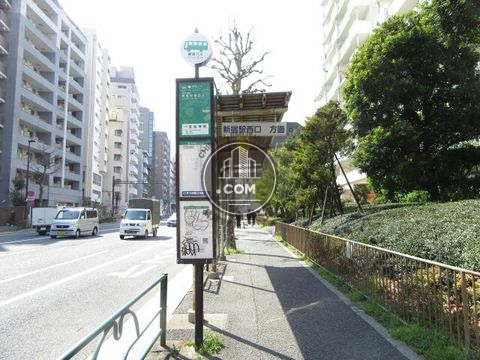 大通り