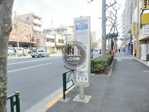 大通り