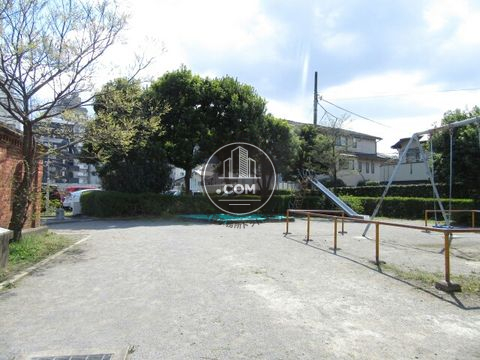 裏路地