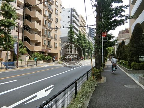 大通り