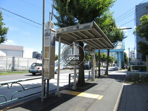 大通り