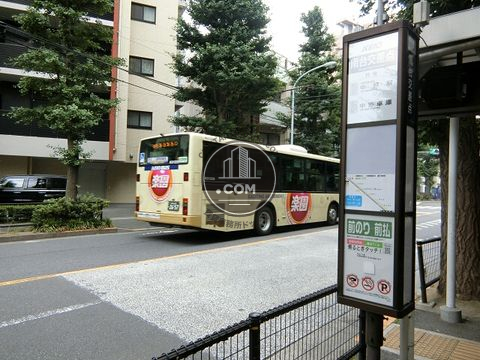 大通り