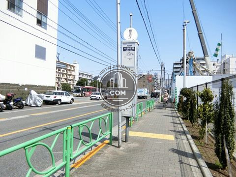 大通り