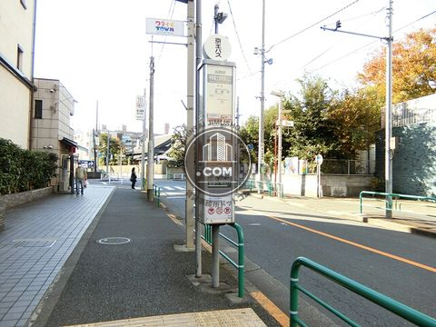 大通り