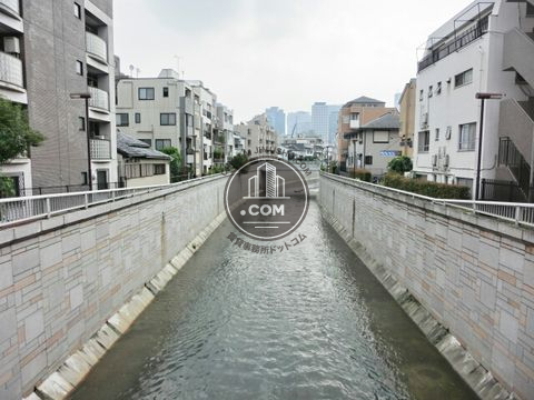 大通り