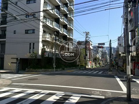 大通り