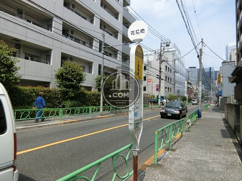 大通り