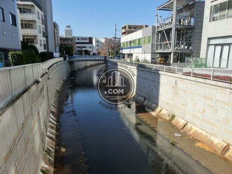 大通り