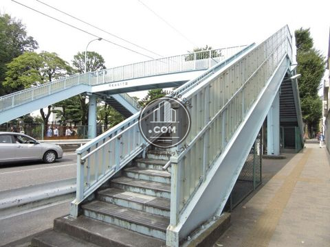 大通り
