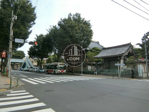 大通り