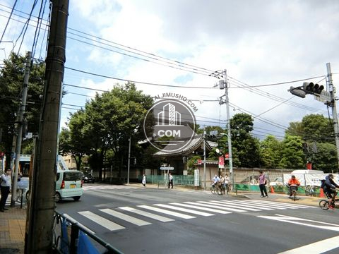 大通り