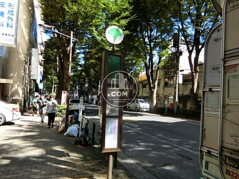 大通り