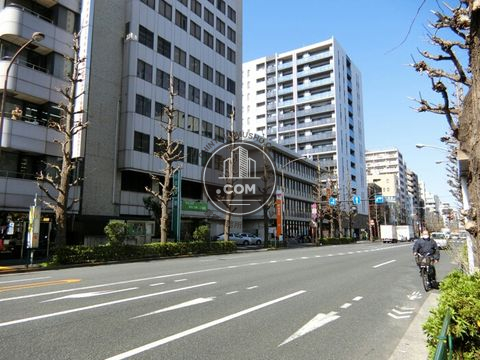 大通り
