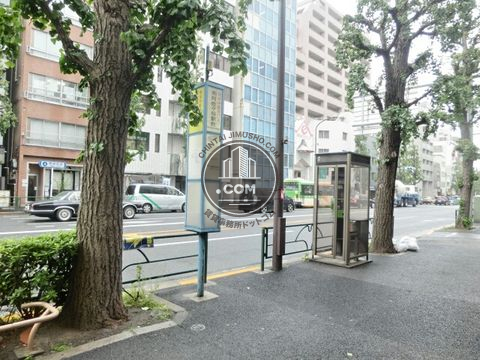 大通り
