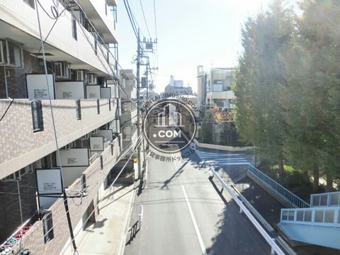 大通り