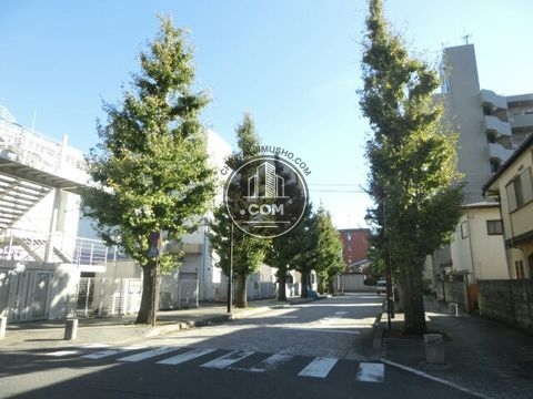 大通り