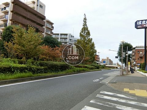 大通り