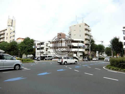 大通り