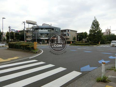 大通り