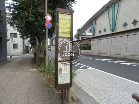 大通り