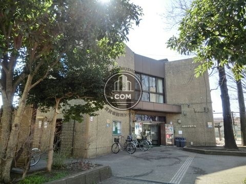 大通り