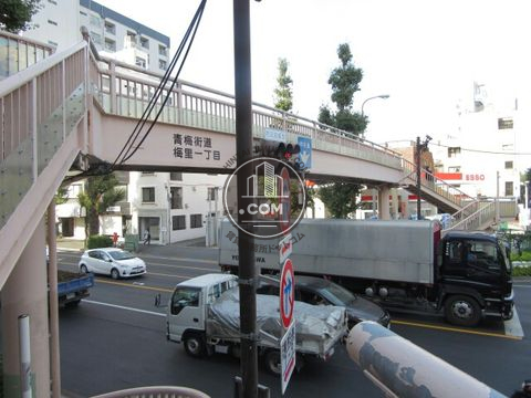 大通り