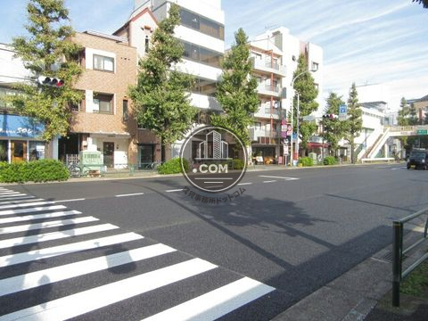 大通り