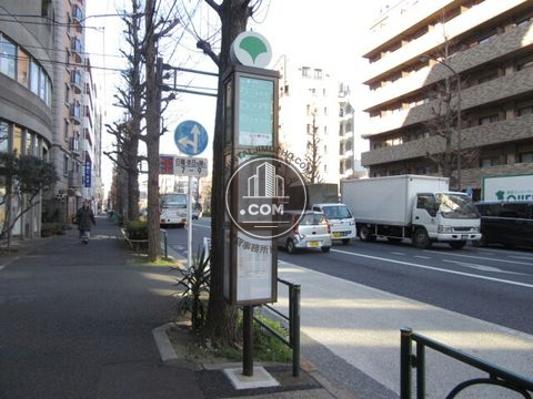 大通り