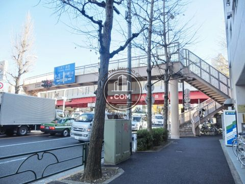 大通り