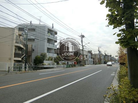 大通り