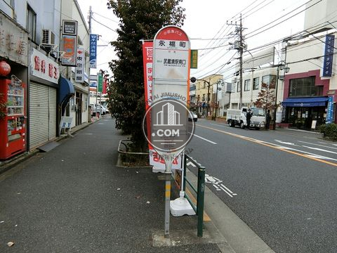 大通り