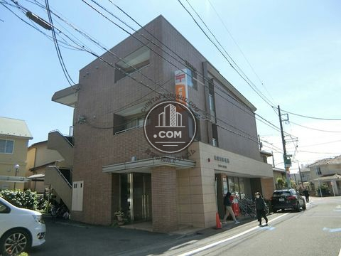 大通り