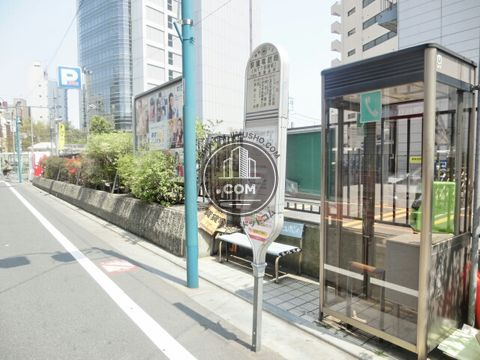 大通り