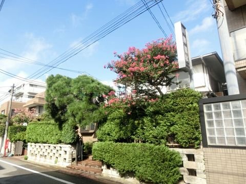 川勝歯科