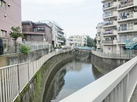 荻窪橋からの景観 (善福寺川)