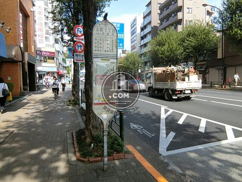 大通り