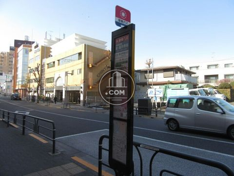 大通り