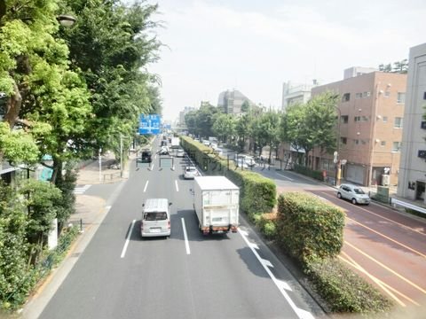 高円寺東歩道橋からの景観 (大和陸橋交差点方面)