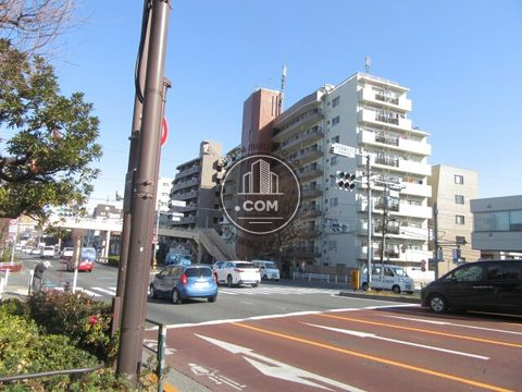 大通り