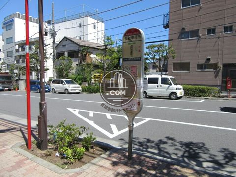 大通り