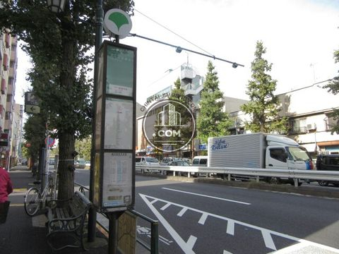 大通り