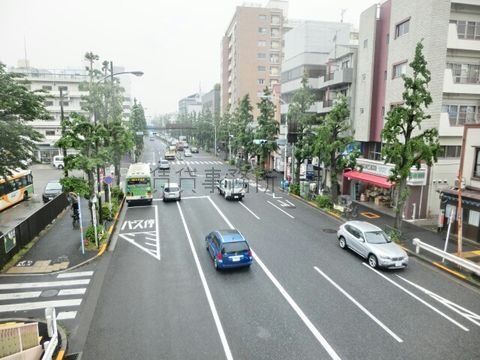 高円寺歩道橋からの景観 (五日街道入口交差点方面)