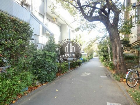 裏路地
