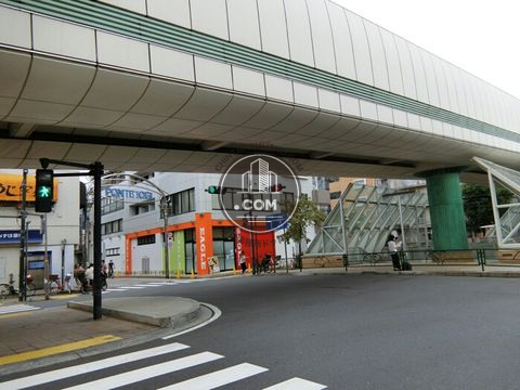 大通り