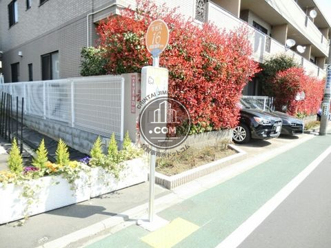 大通り