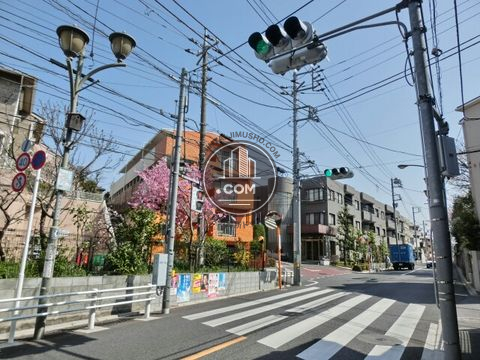 大通り