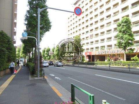 大通り