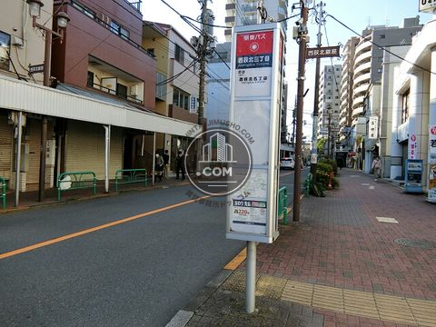 大通り