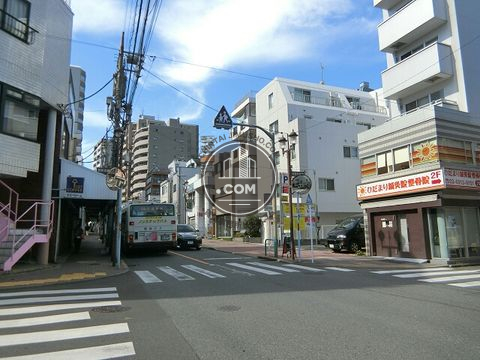 大通り