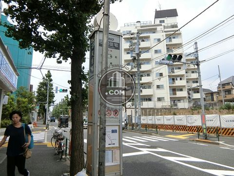 大通り